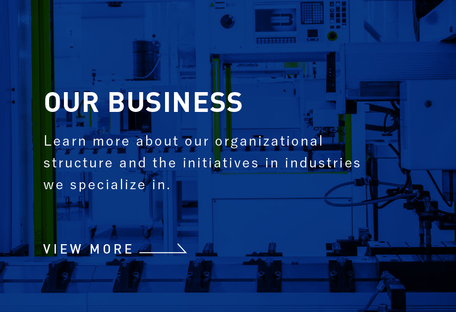 OUR BUSINESS